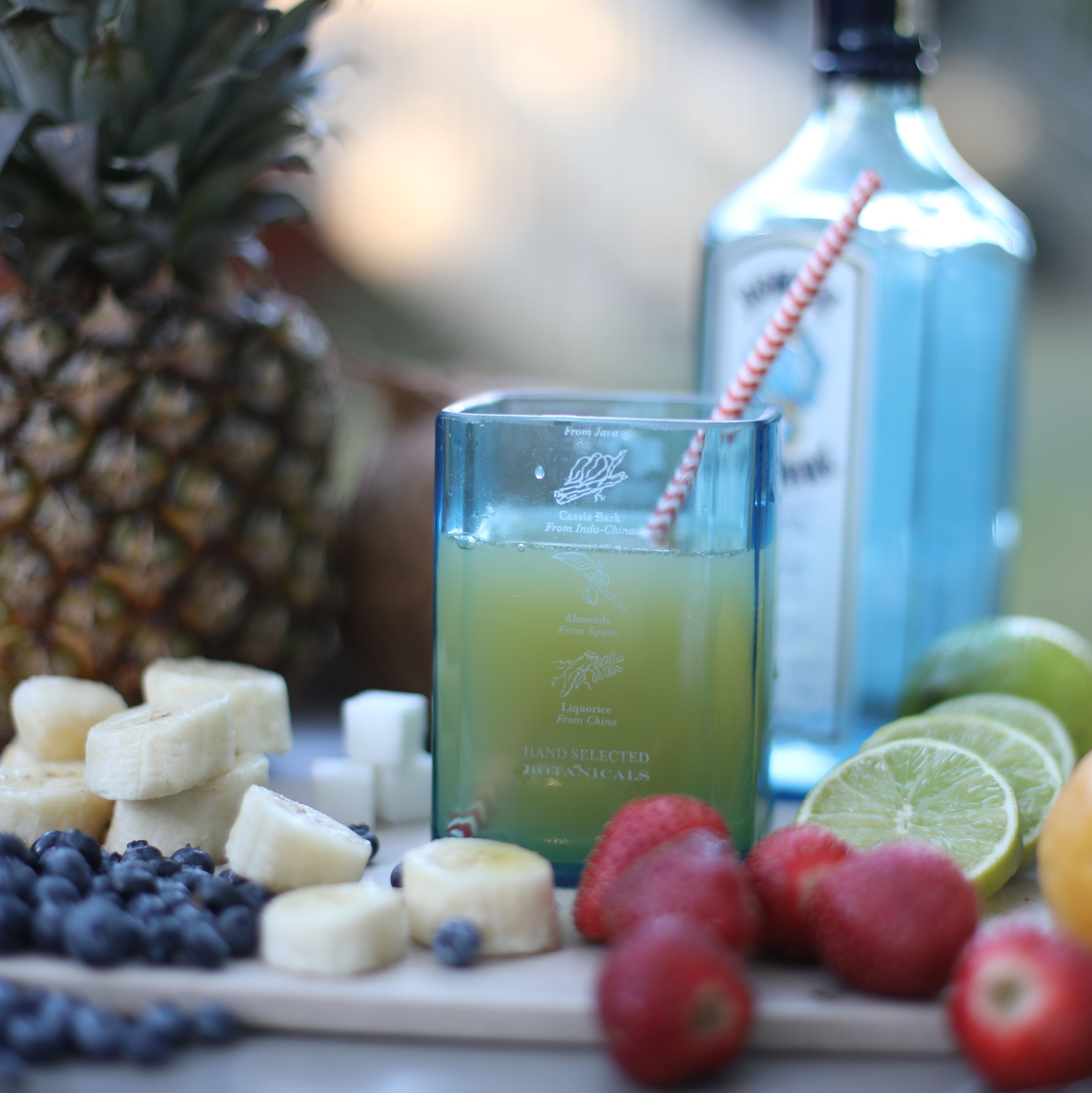 Eco-friendly gifts made with recyclable glassware, Bombay Sapphire Glasses