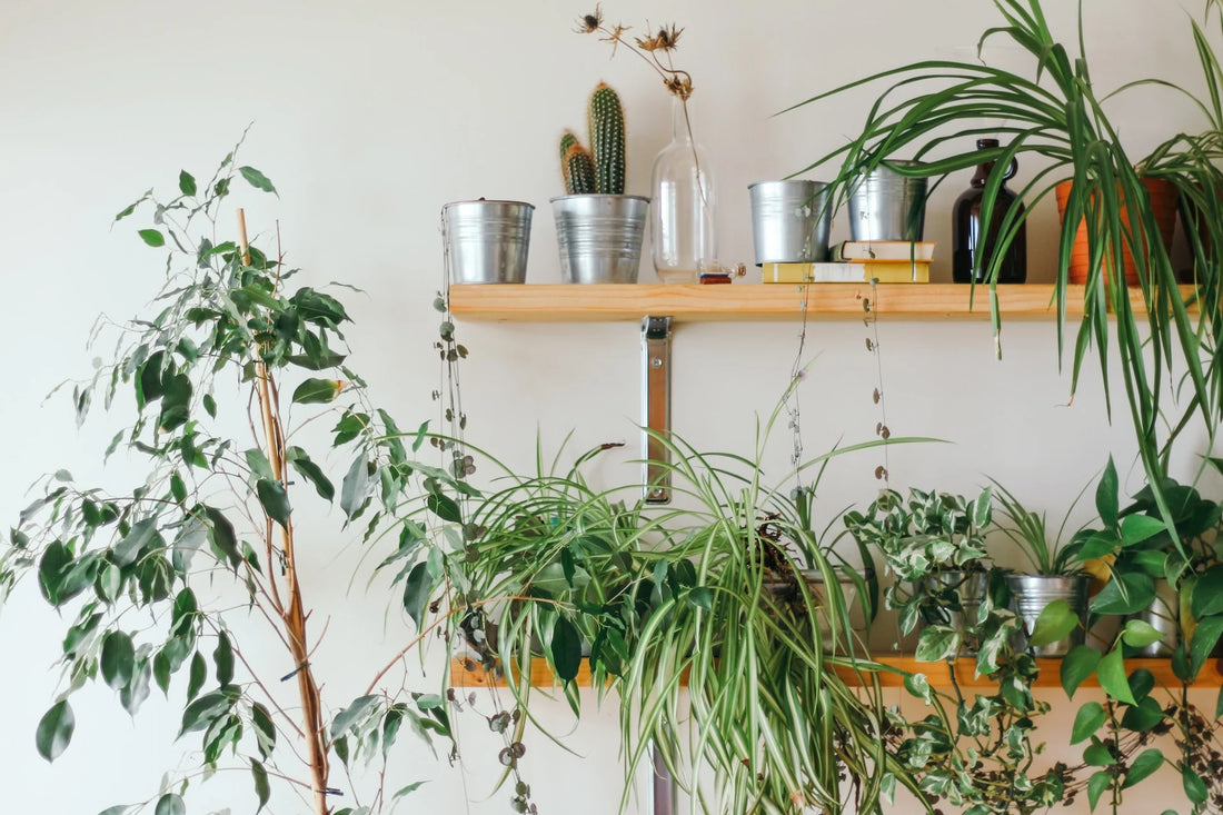 8 Simple Ways to Run a Sustainable Home
